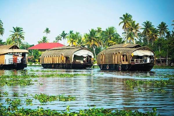 Marari Beach Cleetus Homestay 马拉利库兰 外观 照片